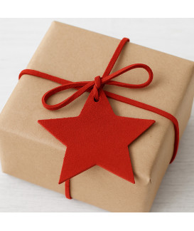 Červená vánoční ozdoba hvězda 619-1216-31