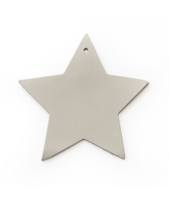 Světle šedá vánoční ozdoba hvězda 619-1216-20