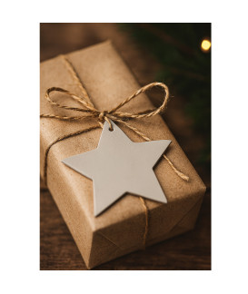 Světle šedá vánoční ozdoba hvězda 619-1216-20