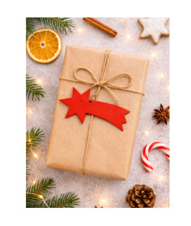 Červená vánoční ozdoba kometa 619-1214-31